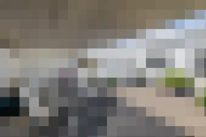 Bisschop Rythoviusweg 7 a Eersel thumbnail 29