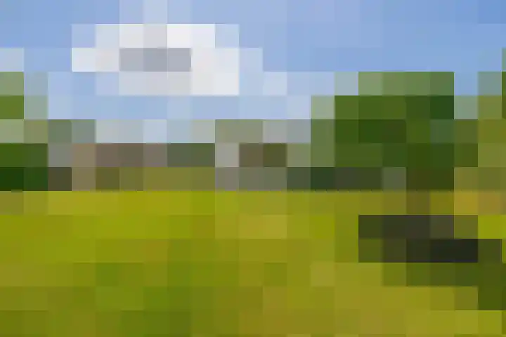 Bisschop Rythoviusweg 7 a Eersel thumbnail 31