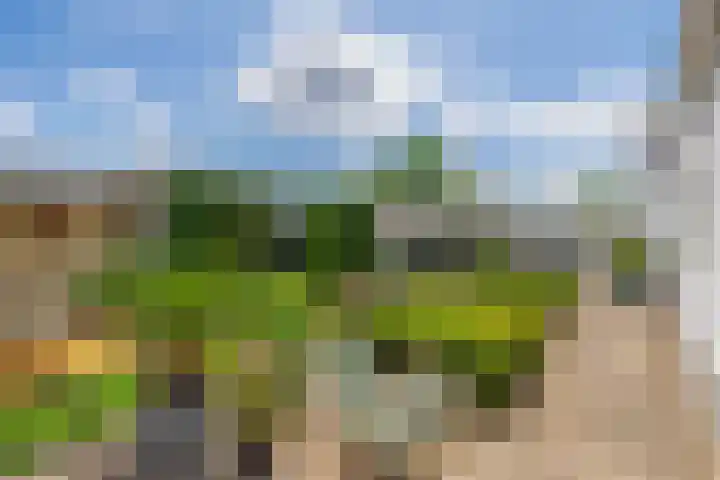 Bisschop Rythoviusweg 7 a Eersel thumbnail 32