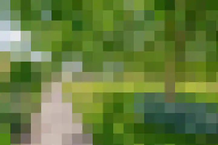 Bisschop Rythoviusweg 7 a Eersel thumbnail 33