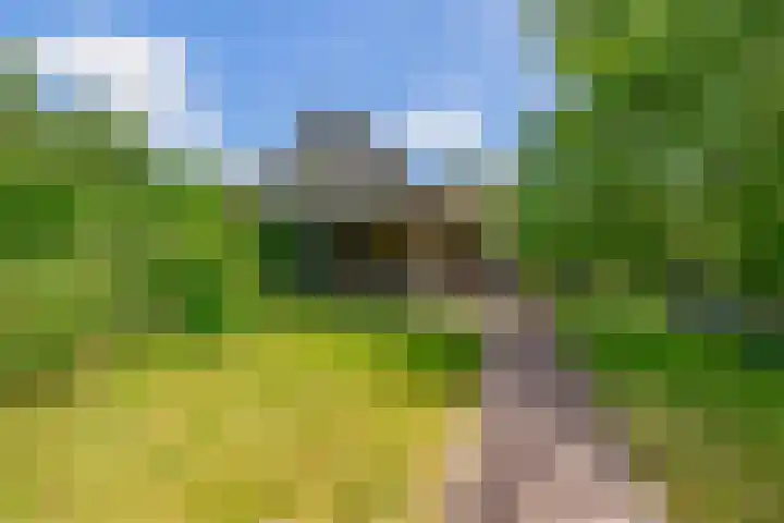 Bisschop Rythoviusweg 7 a Eersel thumbnail 34