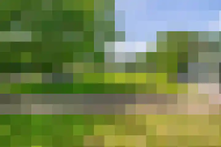 Bisschop Rythoviusweg 7 a Eersel thumbnail 35