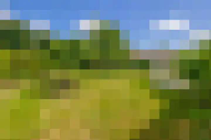 Bisschop Rythoviusweg 7 a Eersel thumbnail 36