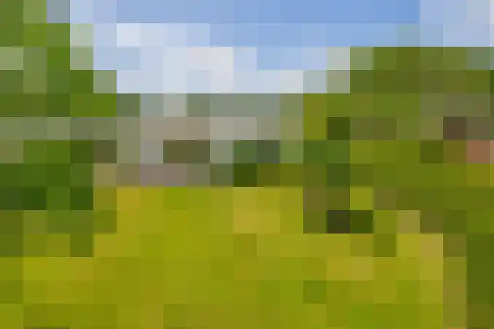 Bisschop Rythoviusweg 7 a Eersel thumbnail 37