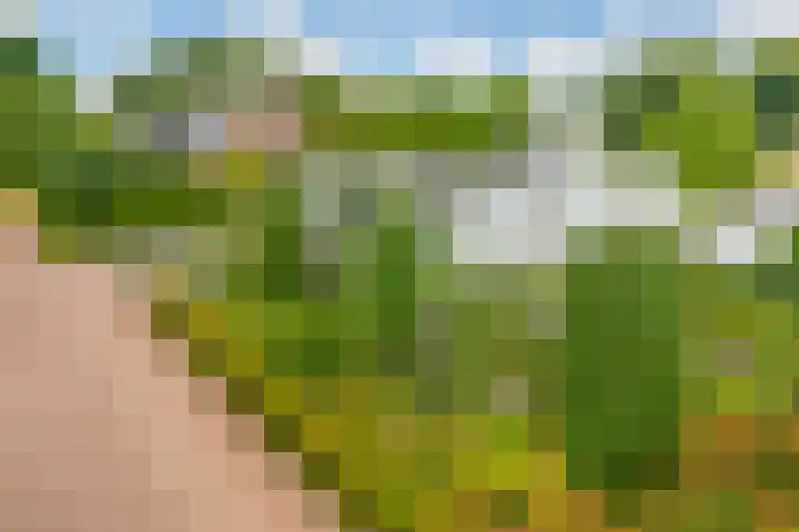 Bisschop Rythoviusweg 7 a Eersel thumbnail 39