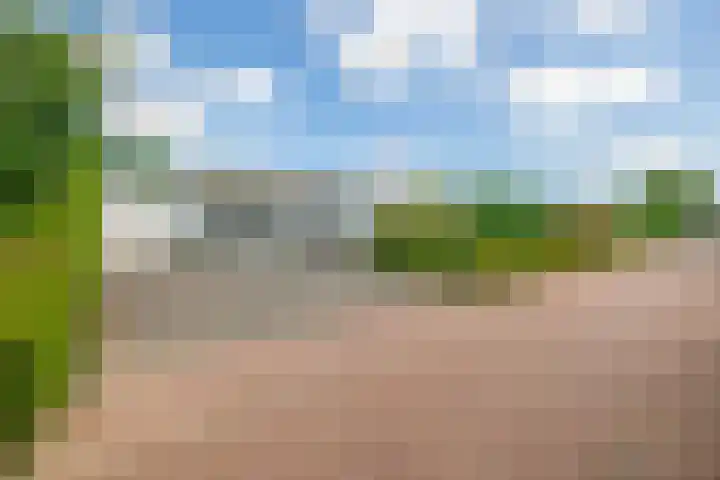Bisschop Rythoviusweg 7 a Eersel thumbnail 41