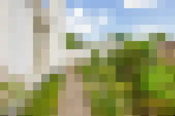 Bisschop Rythoviusweg 7 a Eersel thumbnail 42