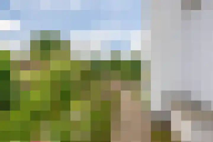 Bisschop Rythoviusweg 7 a Eersel thumbnail 43