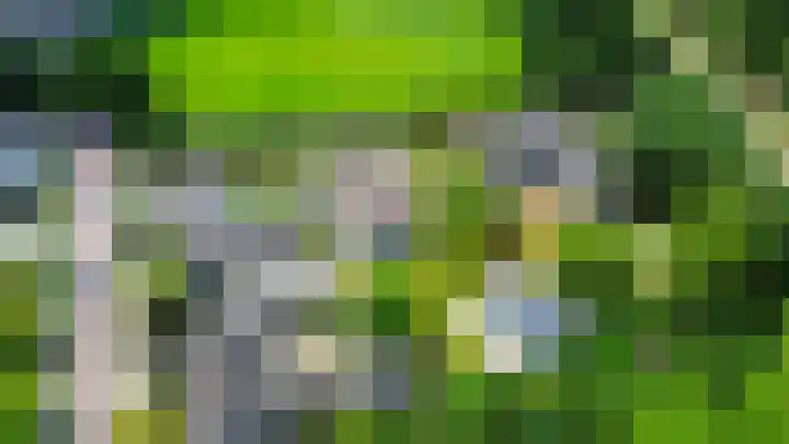 Bisschop Rythoviusweg 7 a Eersel thumbnail 46