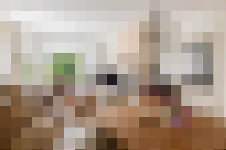 Bisschop Rythoviusweg 7 a Eersel thumbnail 7