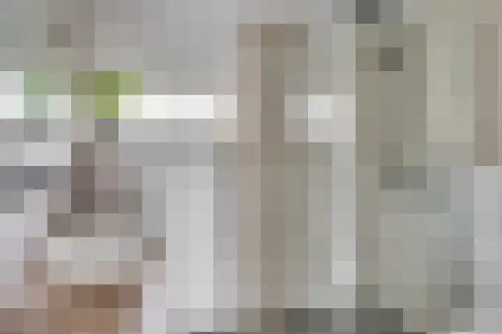 Bisschop Schrijnenstraat 22 Venlo thumbnail 31