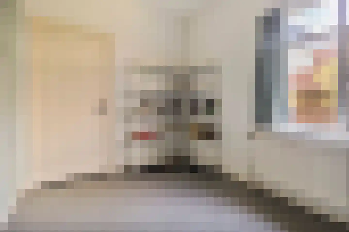 Bisschop Schrijnenstraat 3 Venlo thumbnail 17
