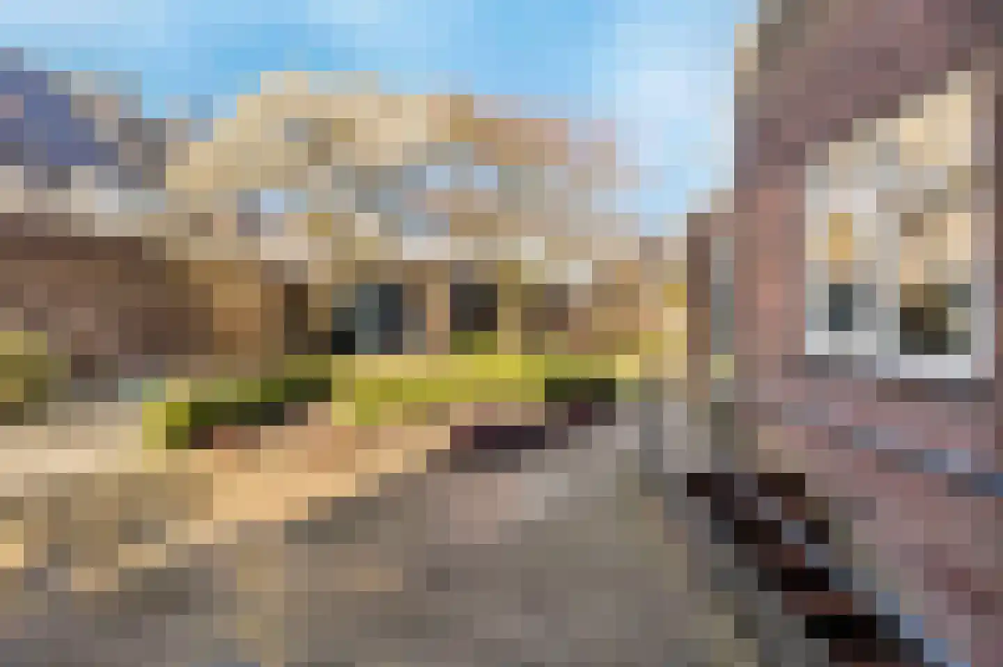 Bisschop Schrijnenstraat 3 Venlo thumbnail 20