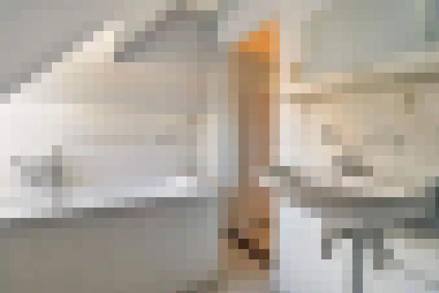 Bisschop Schrijnenstraat 3 Venlo thumbnail 31