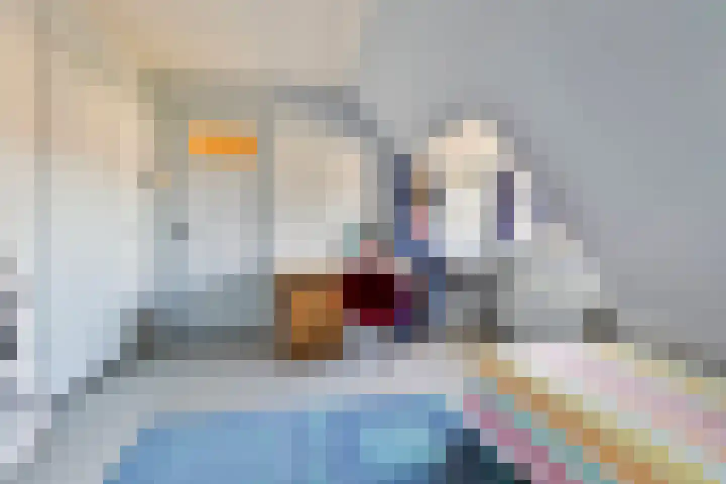 Bisschop Schrijnenstraat 3 Venlo thumbnail 34