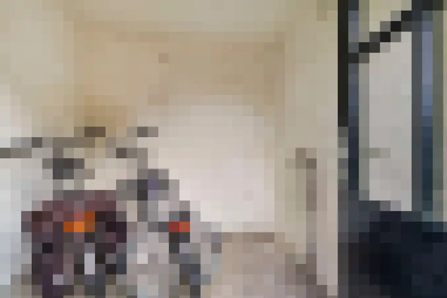 Bisschop Schrijnenstraat 3 Venlo thumbnail 39