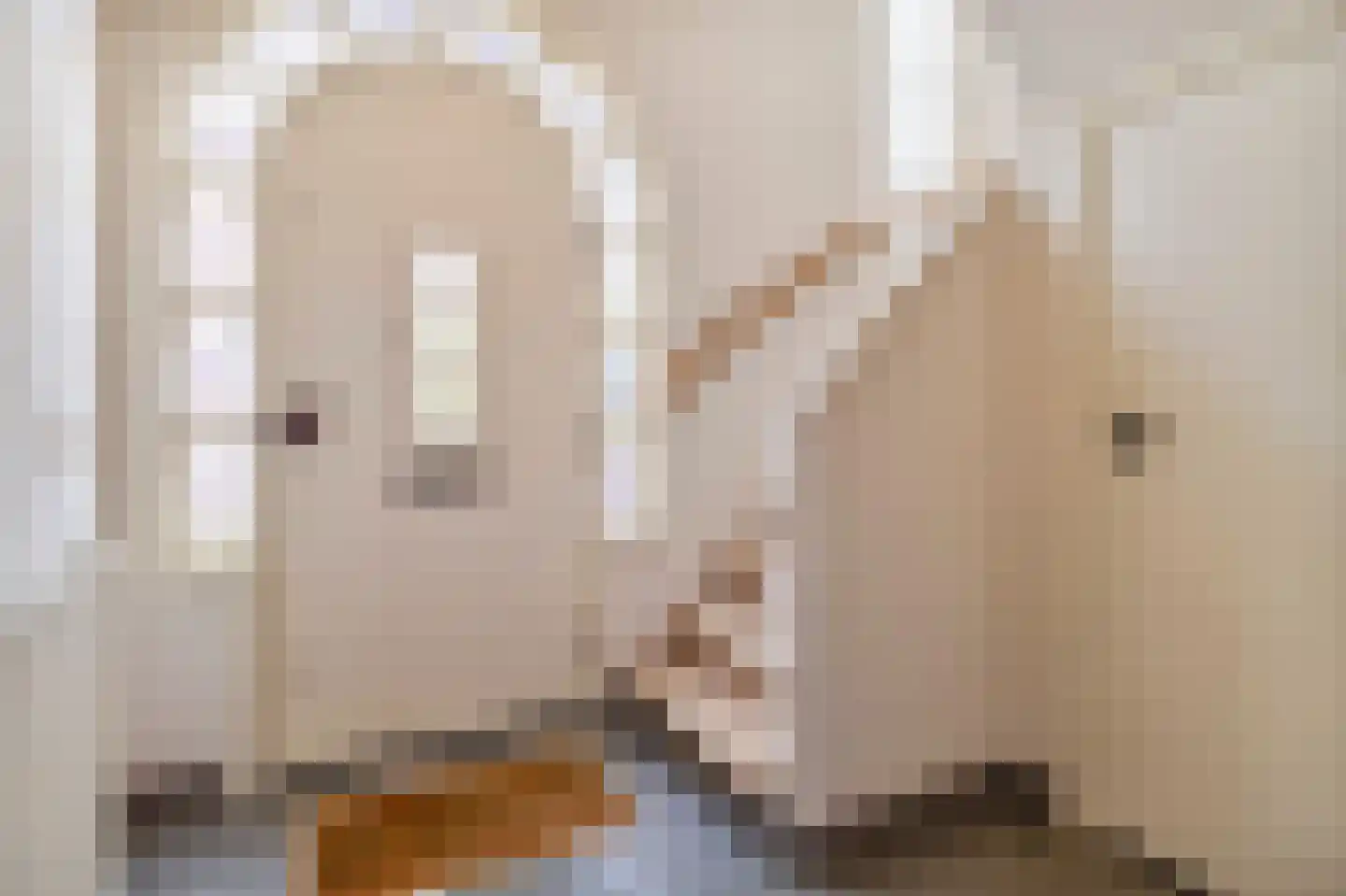 Bisschop Schrijnenstraat 3 Venlo thumbnail 5