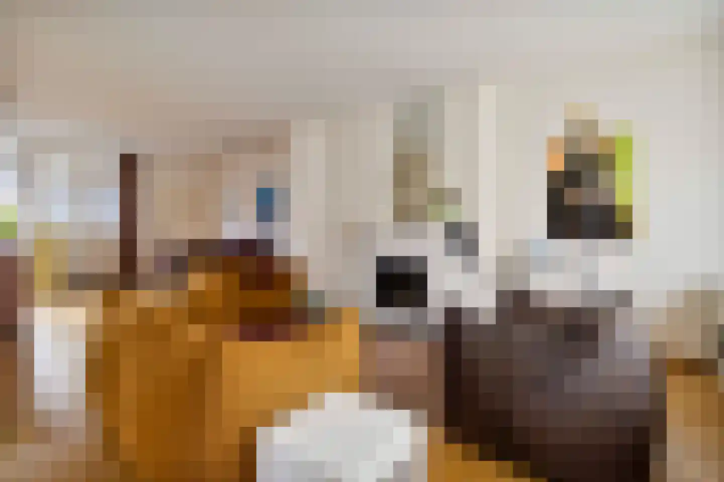 Bisschop Schrijnenstraat 3 Venlo thumbnail 8
