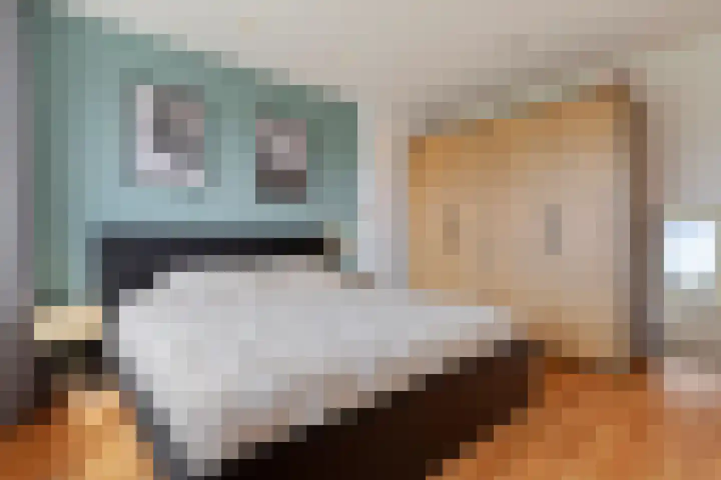 Bisschop Schrijnenstraat 30 Venlo thumbnail 28