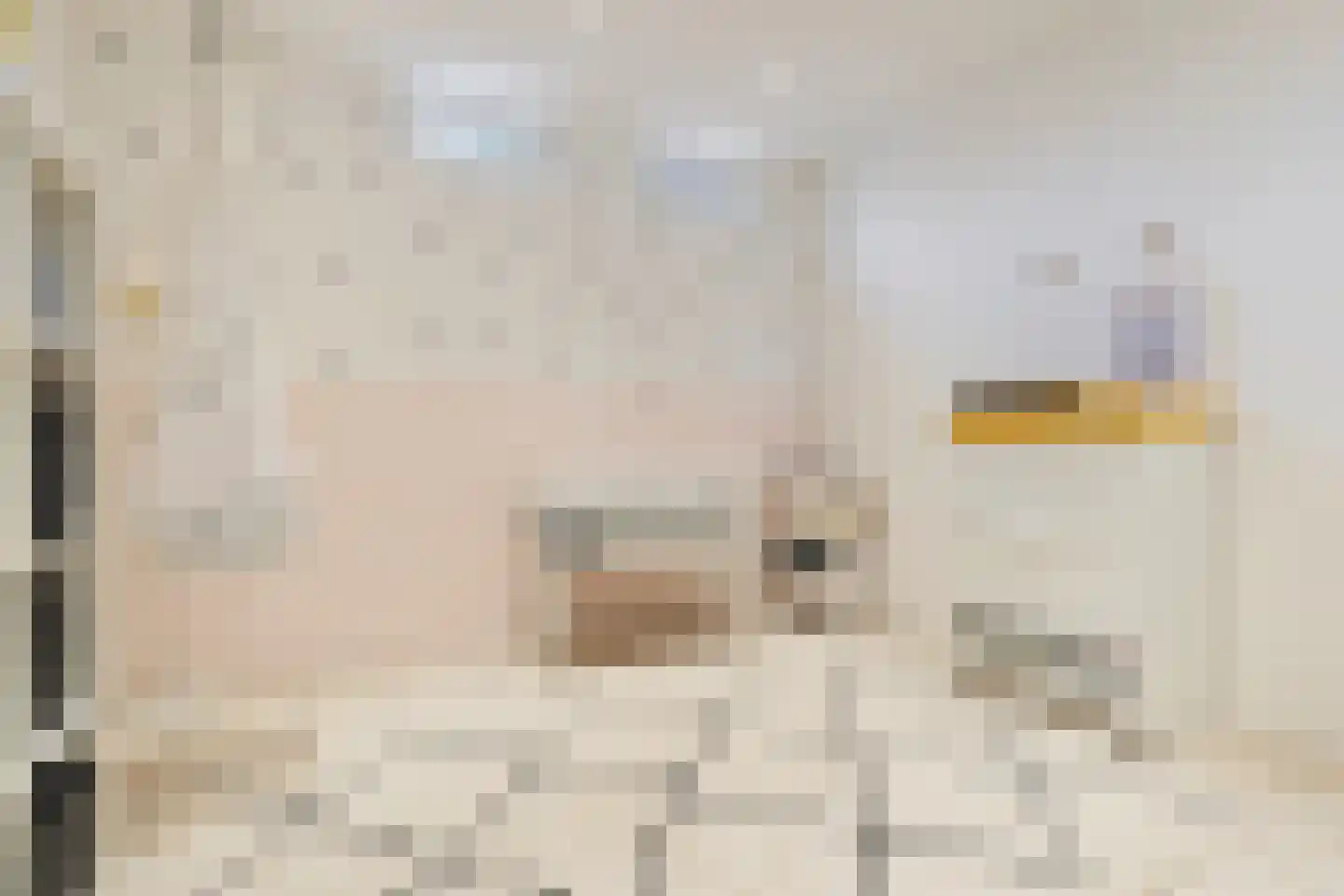 Bisschop Schrijnenstraat 30 Venlo thumbnail 36