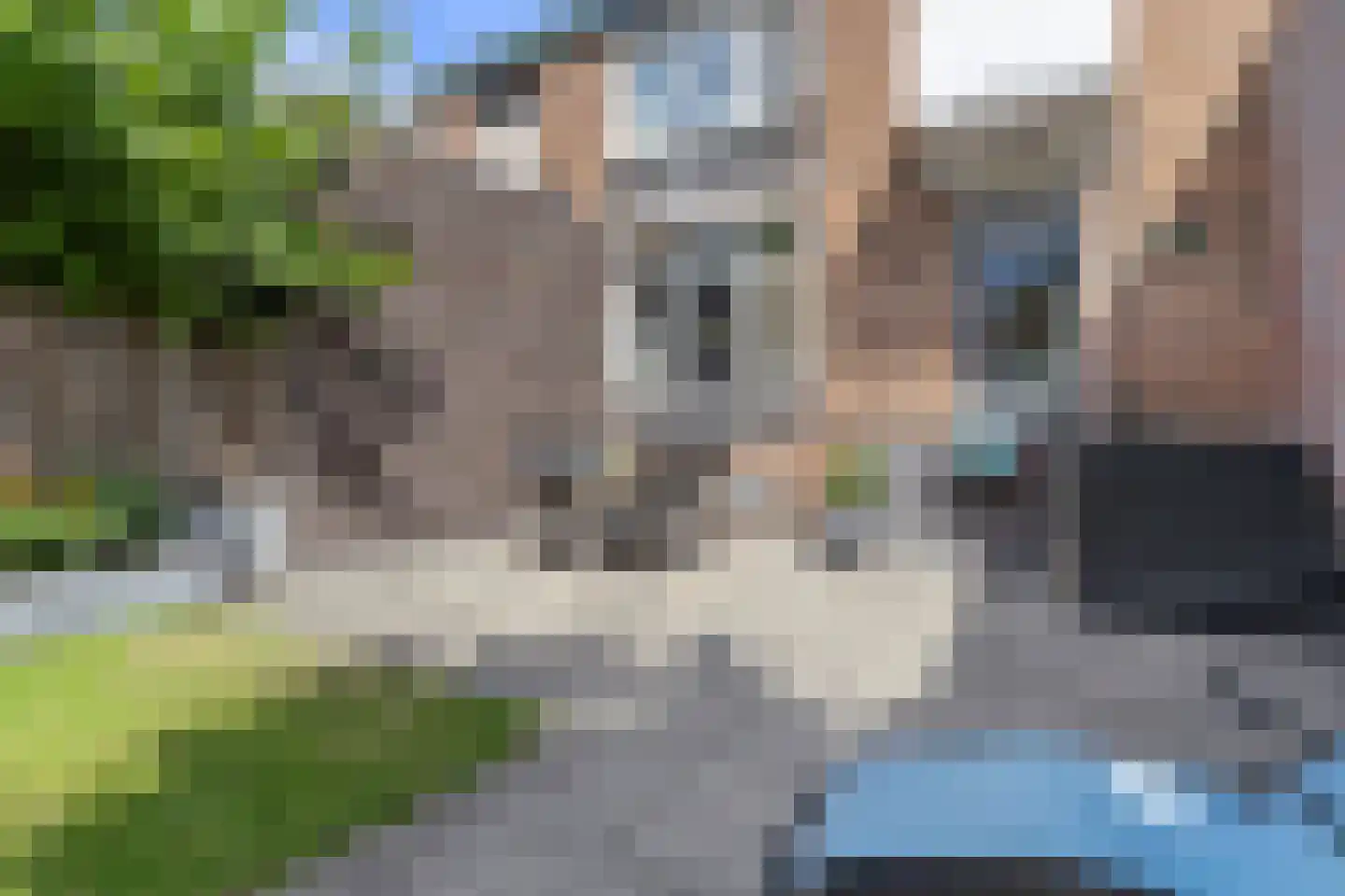Bisschop Schrijnenstraat 30 Venlo thumbnail 40