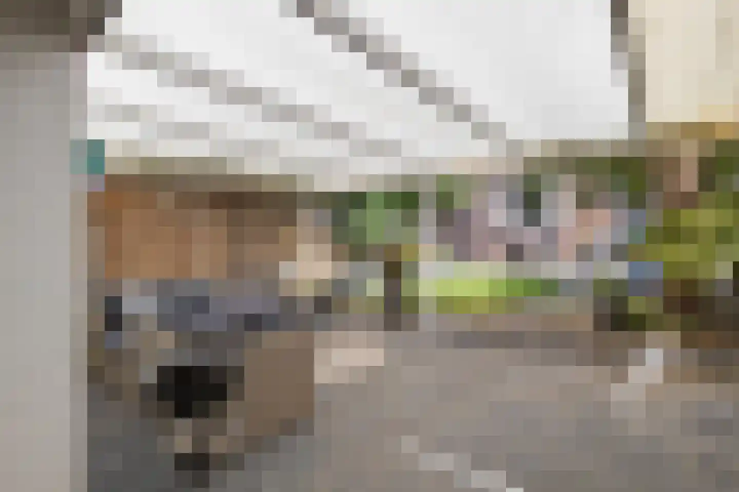 Bisschop Schrijnenstraat 30 Venlo thumbnail 42