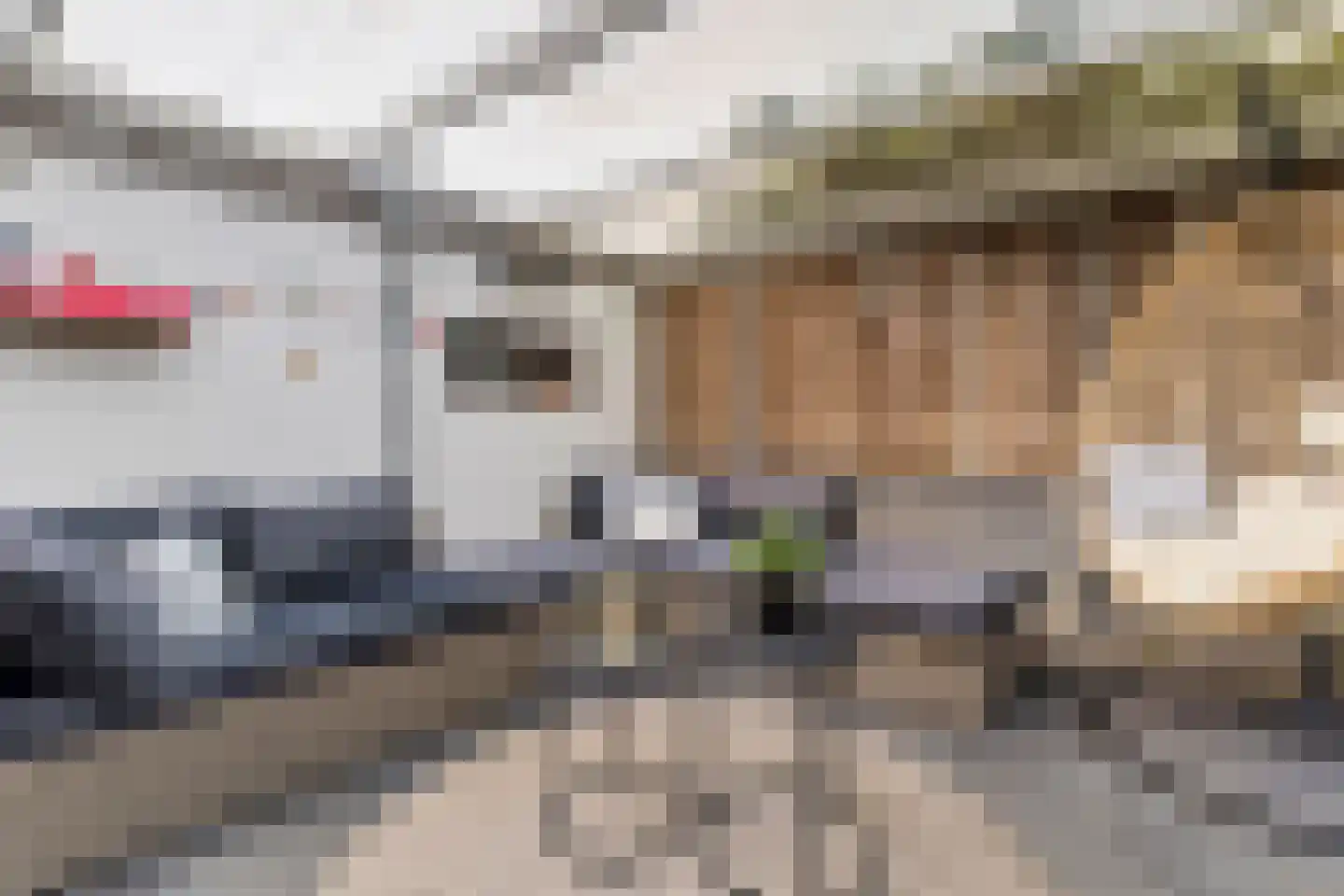 Bisschop Schrijnenstraat 30 Venlo thumbnail 44