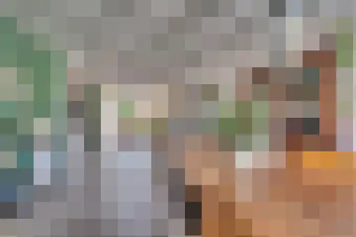 Bisschop Schrijnenstraat 36 Venlo thumbnail 10