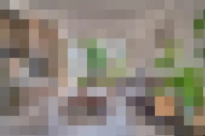 Bisschop Schrijnenstraat 36 Venlo thumbnail 14