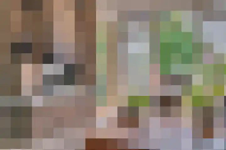 Bisschop Schrijnenstraat 36 Venlo thumbnail 15