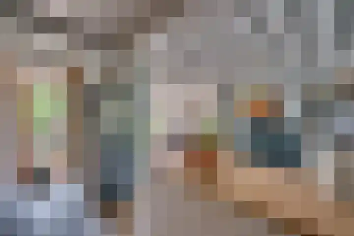 Bisschop Schrijnenstraat 36 Venlo thumbnail 23