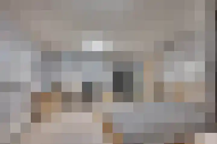 Bisschop Schrijnenstraat 36 Venlo thumbnail 27