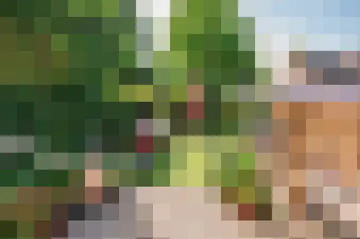 Bisschop Schrijnenstraat 36 Venlo thumbnail 42