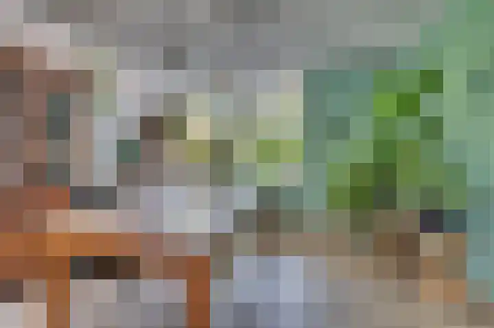 Bisschop Schrijnenstraat 36 Venlo thumbnail 9