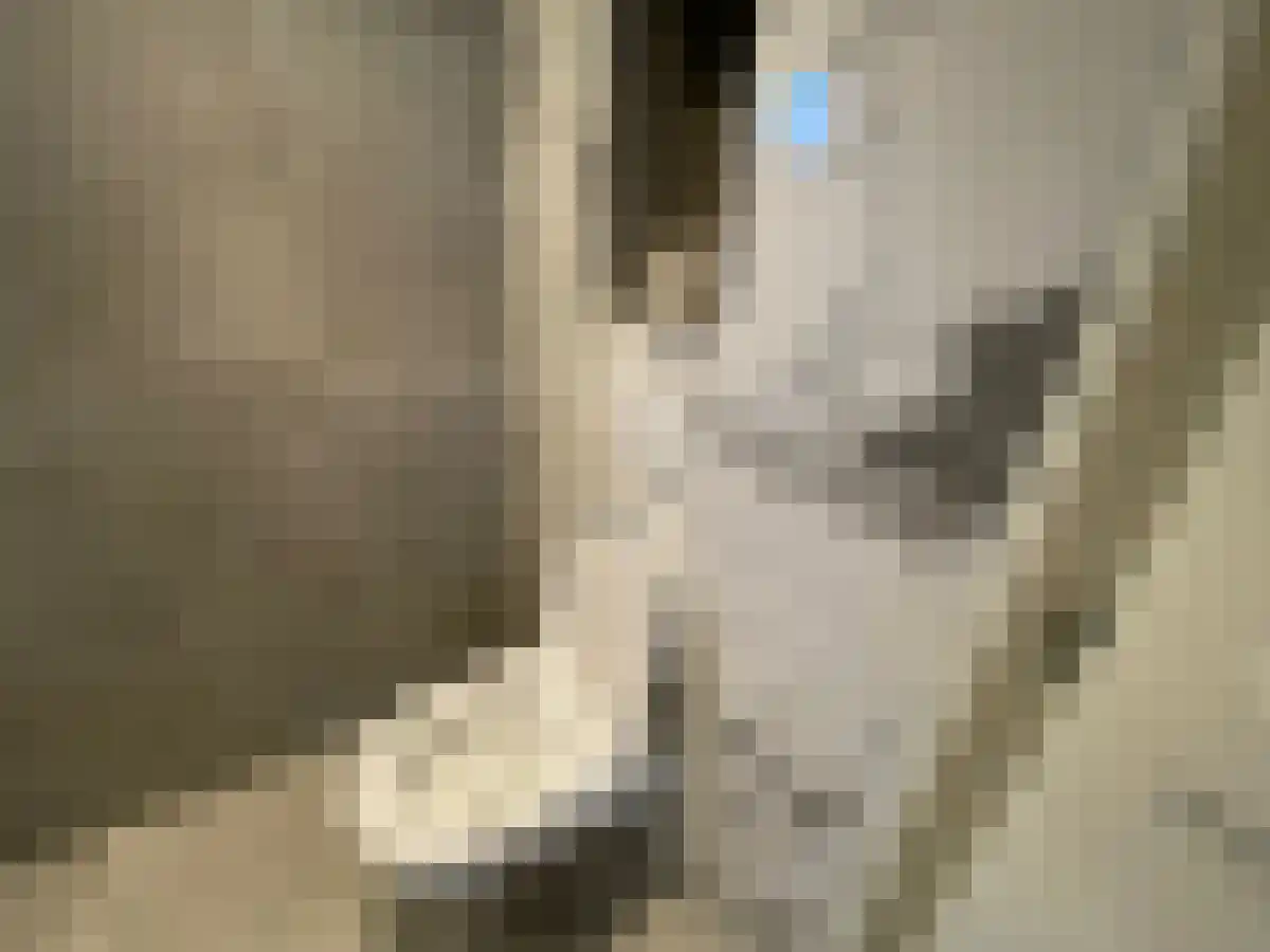 Bisschop van de Venstraat 21 Tilburg thumbnail 4