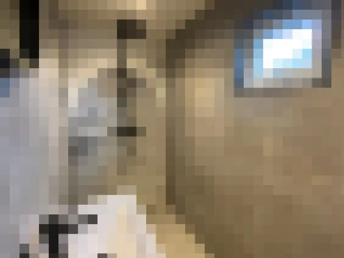 Bisschop van de Venstraat 21 Tilburg thumbnail 5