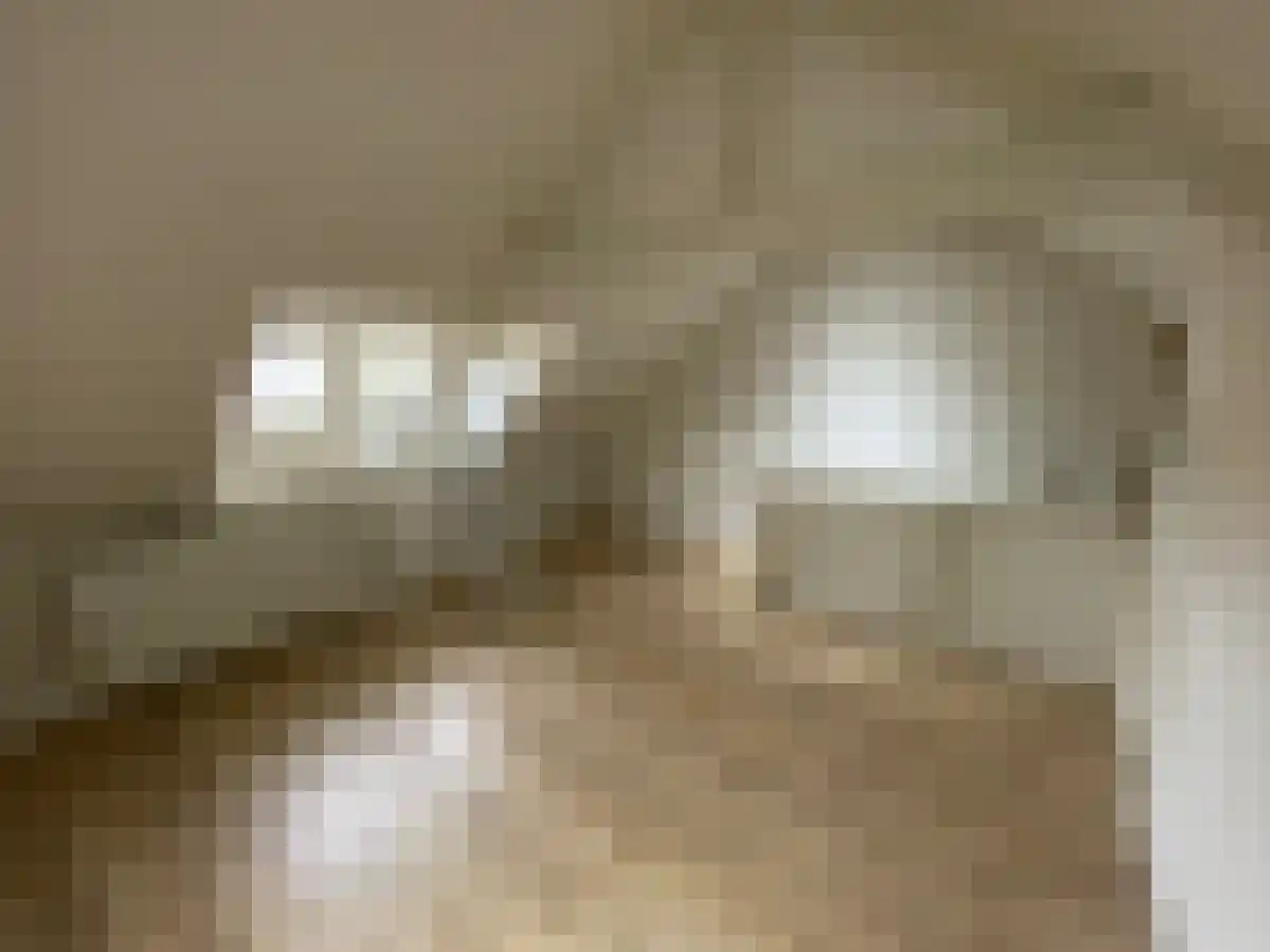Bisschop van de Venstraat 21 Tilburg thumbnail 6