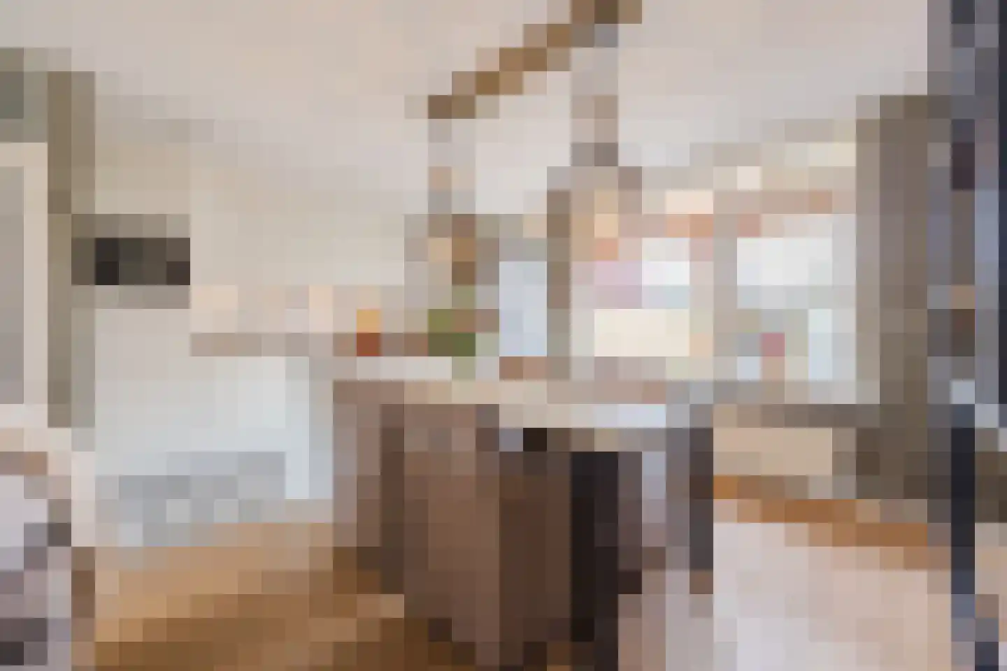 Bisschop van Genkdreef 14 Willemstad thumbnail 14