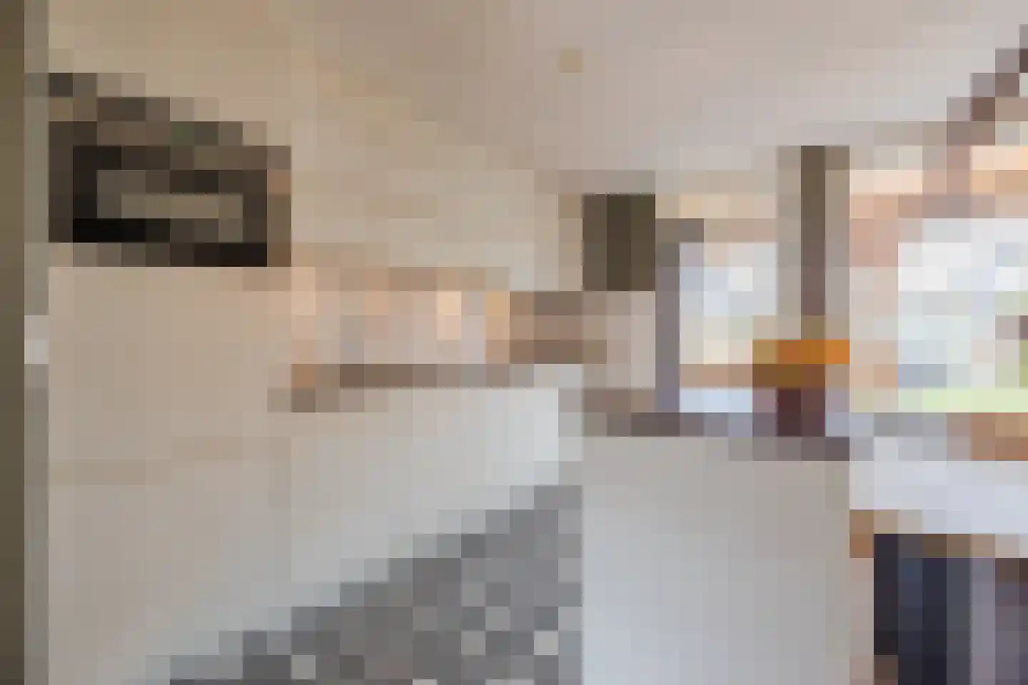 Bisschop van Genkdreef 14 Willemstad thumbnail 22
