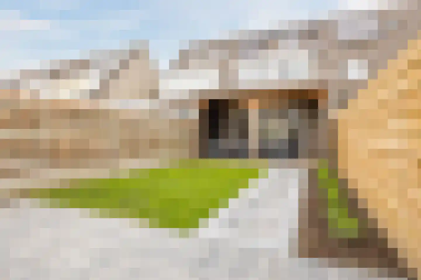 Bisschop van Genkdreef 14 Willemstad thumbnail 47