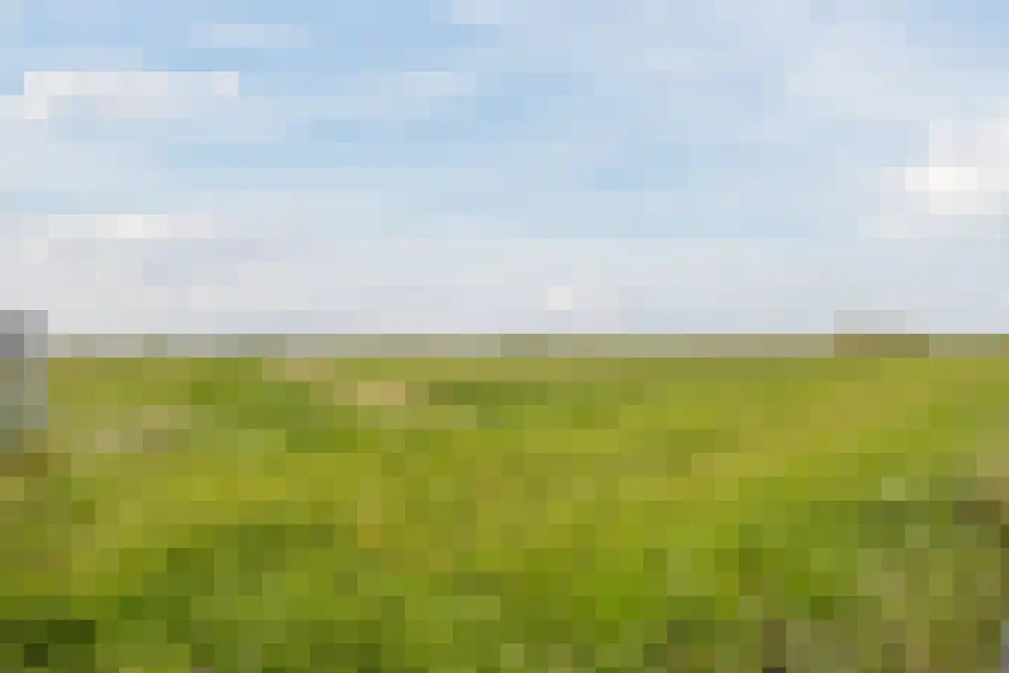 Bisschop van Genkdreef 14 Willemstad thumbnail 52
