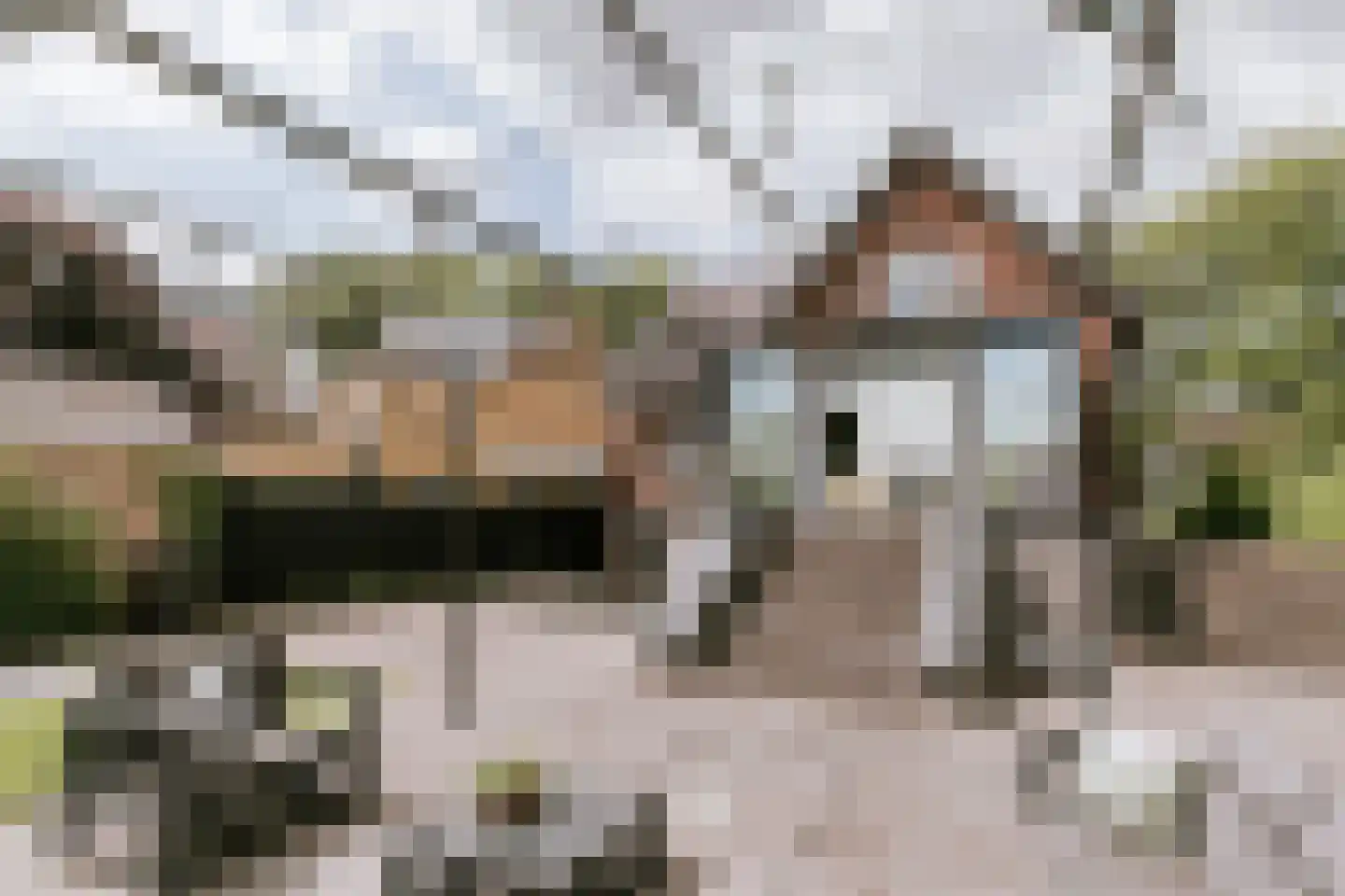 Bisschop van Hoensbroeckstraat 7 Roermond thumbnail 10