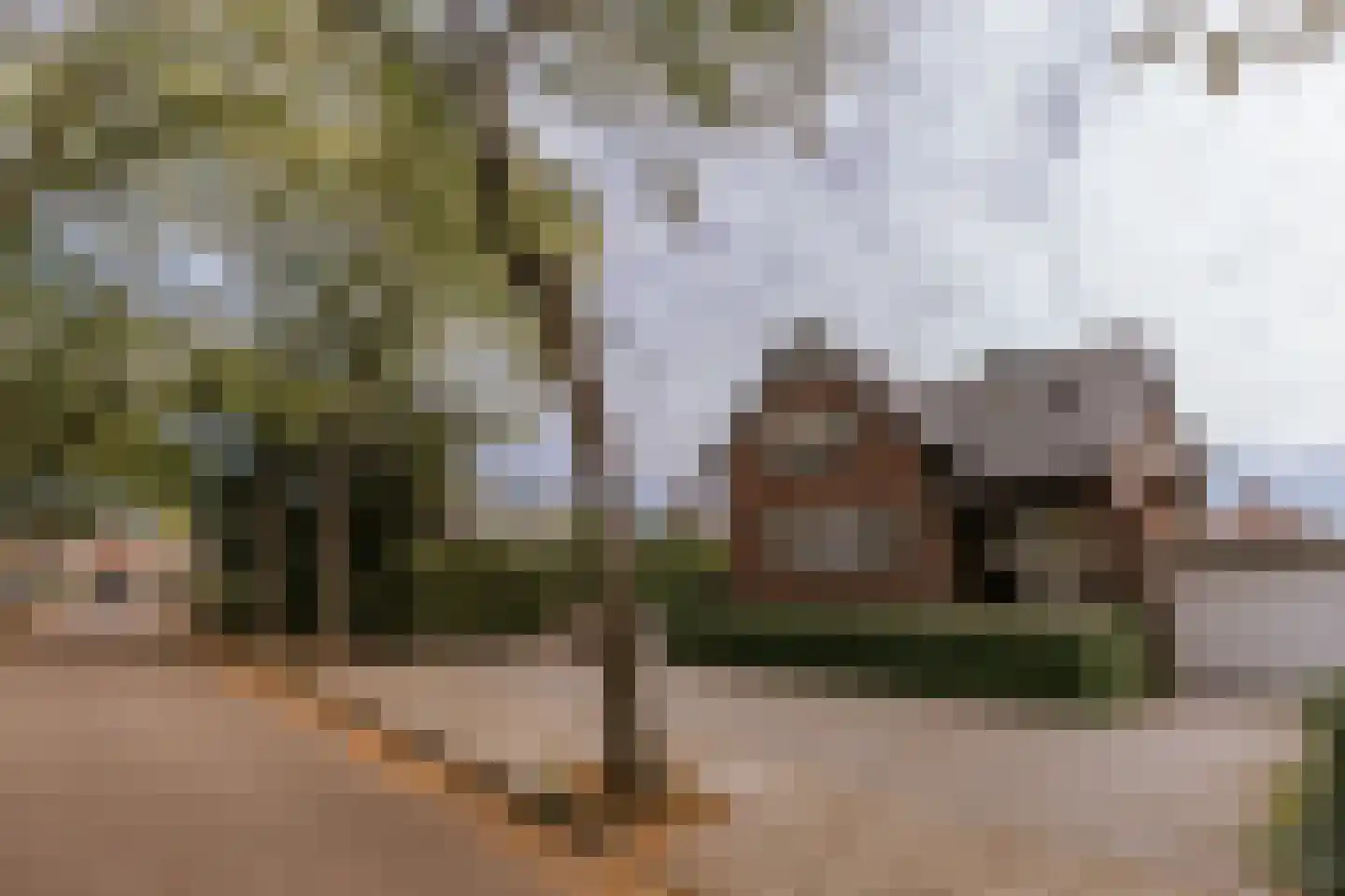 Bisschop van Hoensbroeckstraat 7 Roermond thumbnail 14