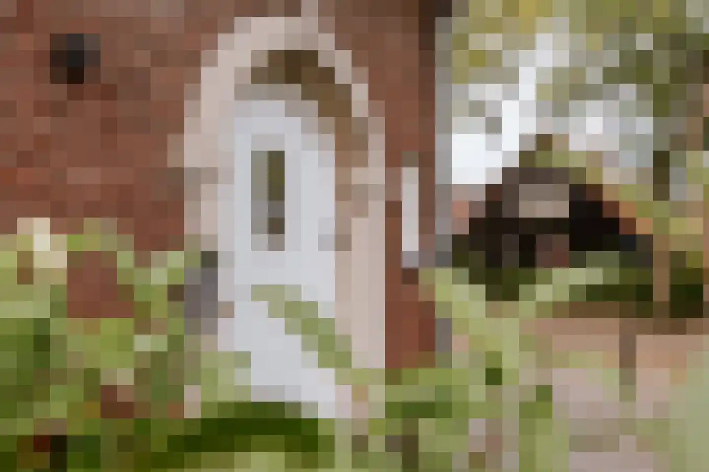 Bisschop van Hoensbroeckstraat 7 Roermond thumbnail 16