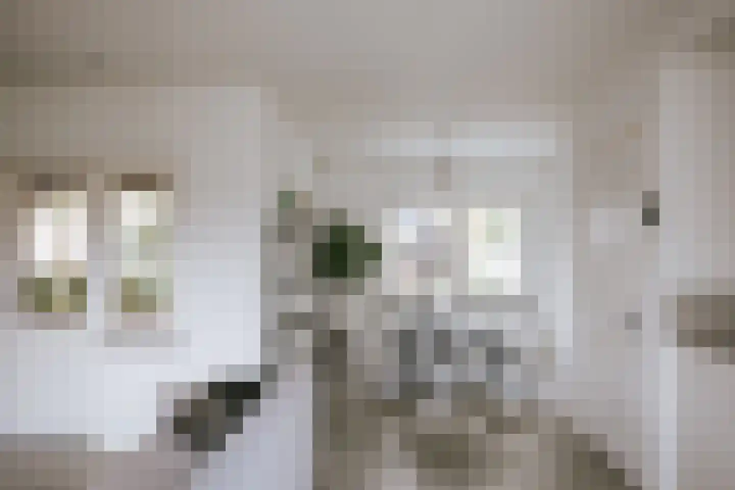 Bisschop van Hoensbroeckstraat 7 Roermond thumbnail 21