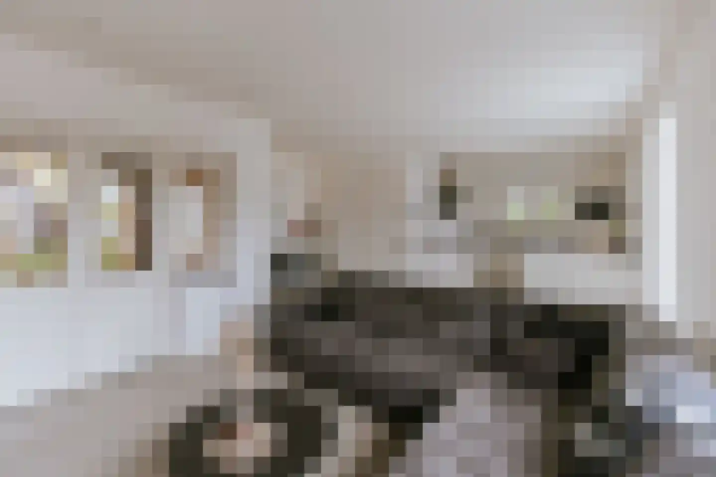 Bisschop van Hoensbroeckstraat 7 Roermond thumbnail 23