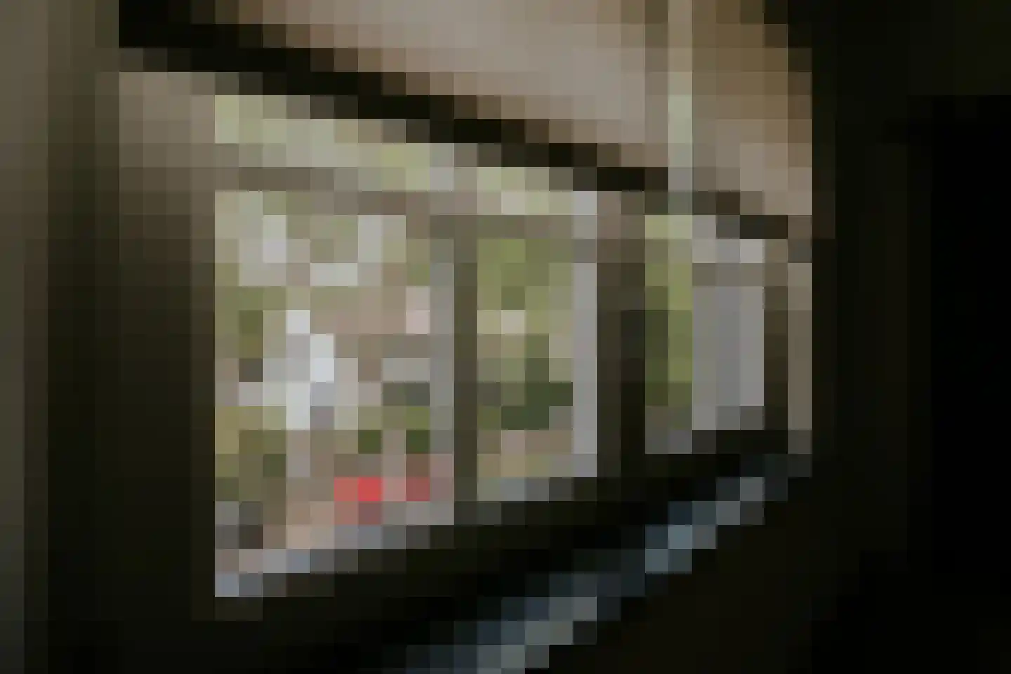Bisschop van Hoensbroeckstraat 7 Roermond thumbnail 29