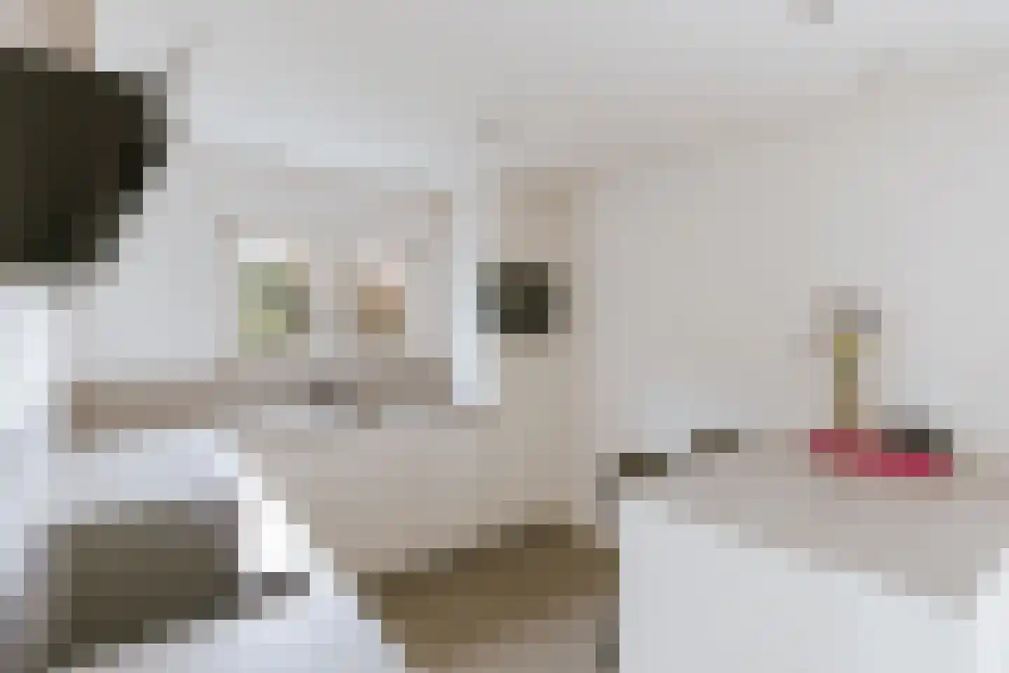 Bisschop van Hoensbroeckstraat 7 Roermond thumbnail 30