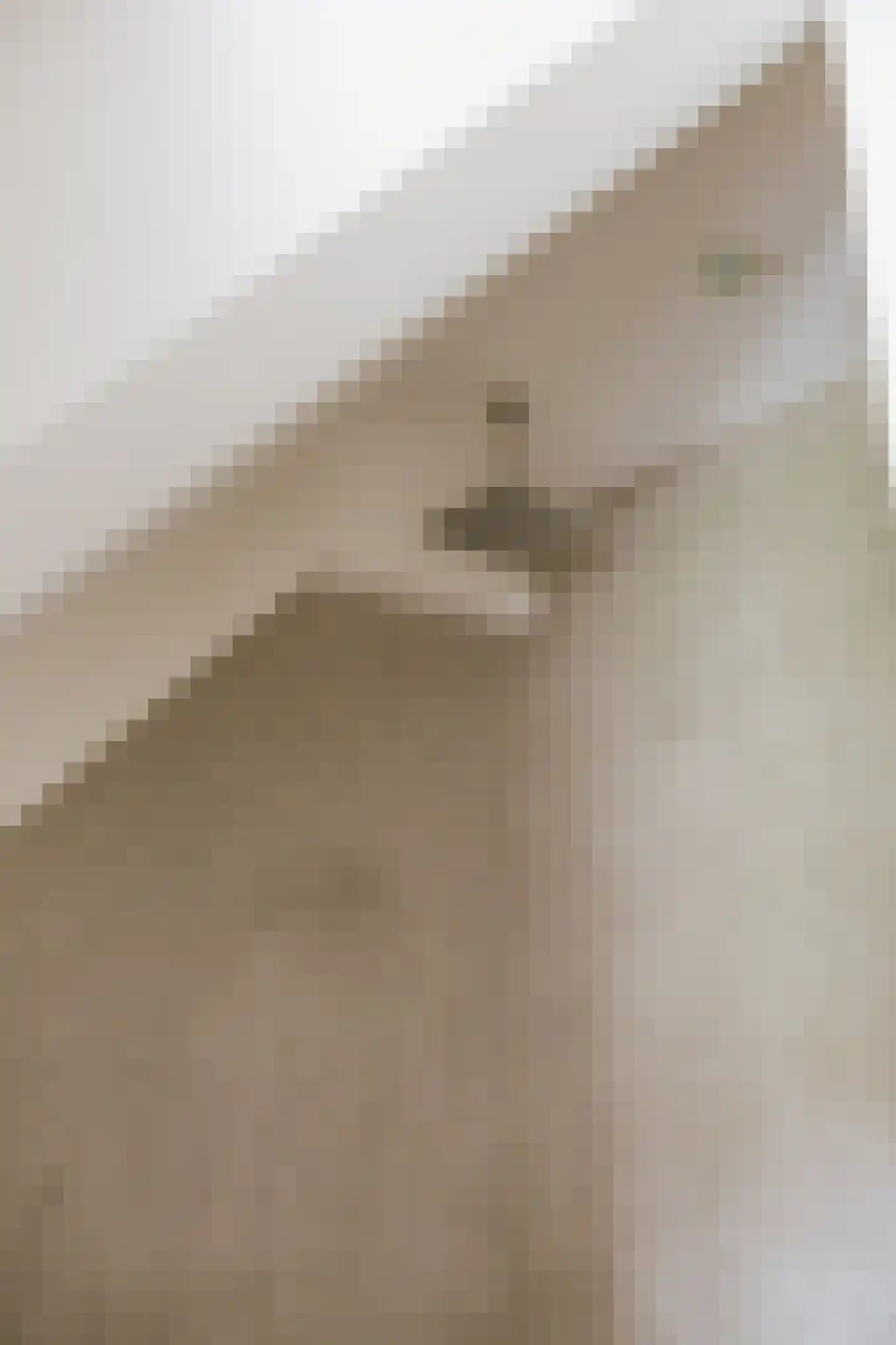 Bisschop van Hoensbroeckstraat 7 Roermond thumbnail 32