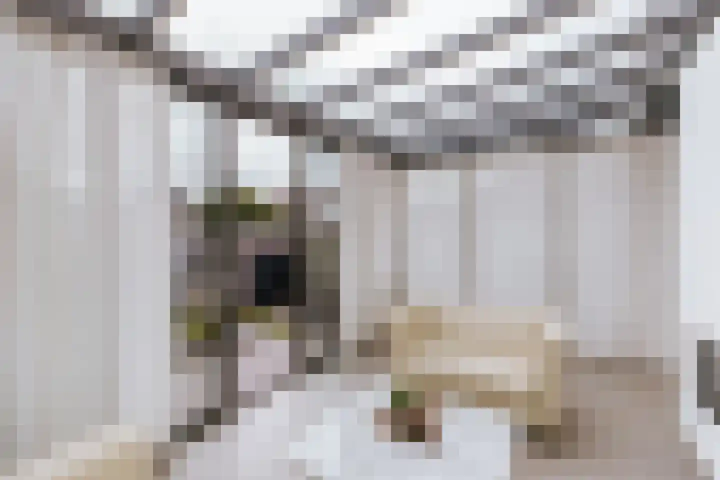 Bisschop van Hoensbroeckstraat 7 Roermond thumbnail 33
